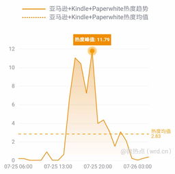 网事沸点 数字时代巨头博弈与用户生态新变